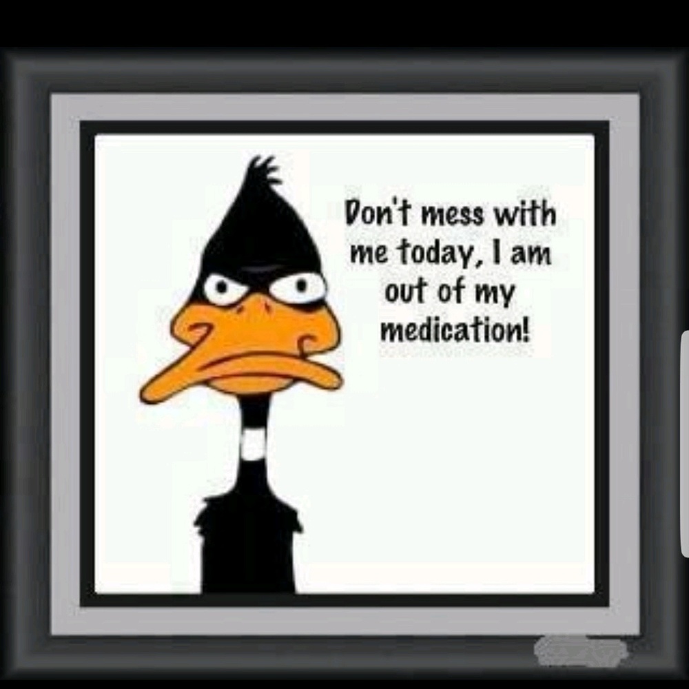 Meet your Posher, Gloria